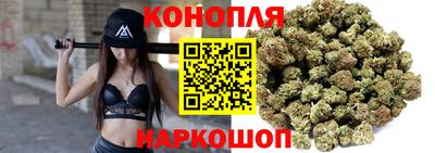 мдпв Кандалакша