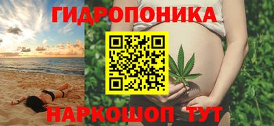 мдпв Кандалакша