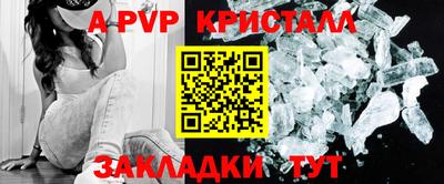 стаф Камышлов