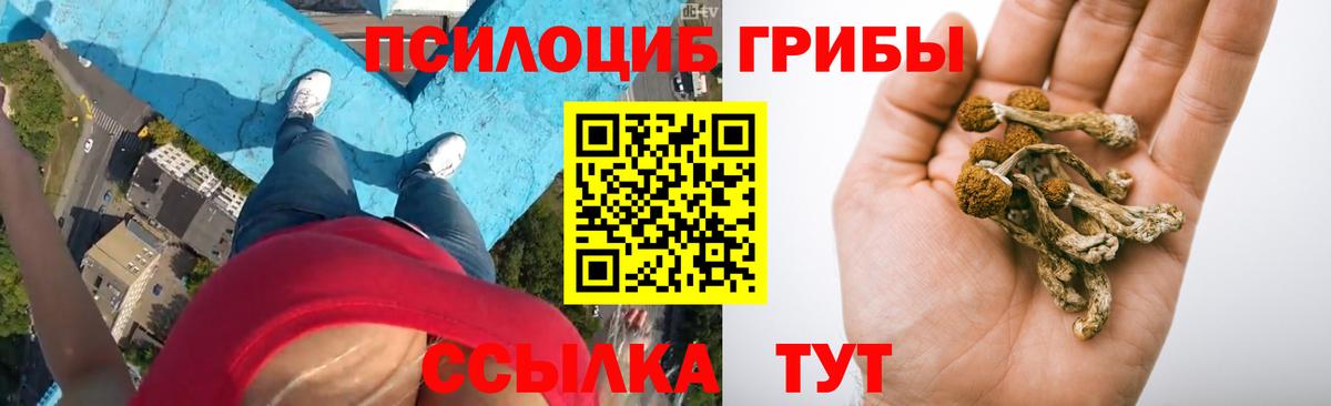 Галлюциногенные грибы мицелий Ишимбай